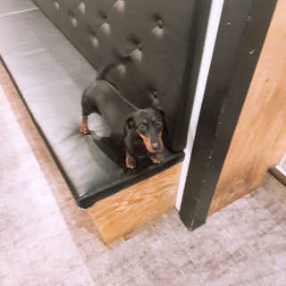쩰리🐾님이 올린 리뷰 사진 4