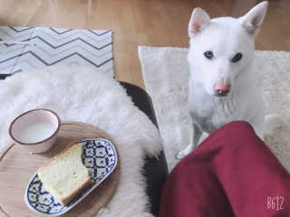 스쿰비님이 올린 리뷰 사진 1
