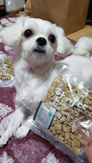 [펫토리아] 맛도 영양도 BEST 한끼뚝딱 강아지 사료 — 5점을 준 리뷰어가 2018년 12월 올린 사용 사진
