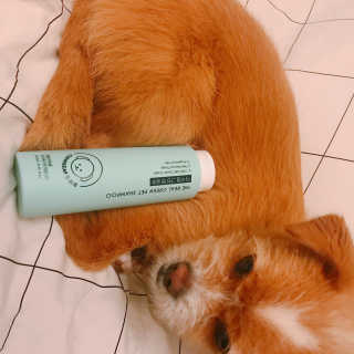제이님이 올린 리뷰 사진 1