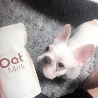 불독키우는개엄마❤️님이 올린 리뷰 사진 3