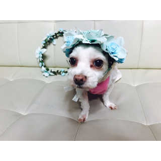 지케님이 올린 리뷰 사진 4