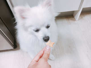 루이님이 올린 리뷰 사진 2