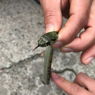 noname님이 올린 리뷰 사진 1