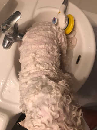 갱스님이 올린 리뷰 사진 2