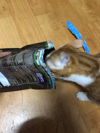 스윗님이 올린 리뷰 사진 2