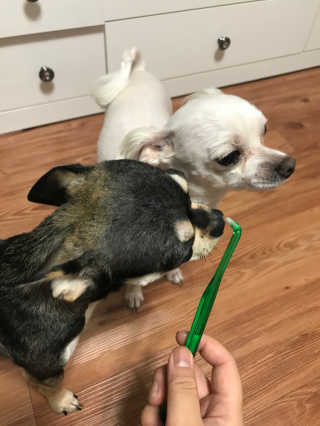 뽀라님이 올린 리뷰 사진 1