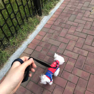 정미닝닝님이 올린 리뷰 사진 3