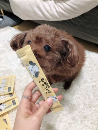 [펫토리아] 강아지,고양이겸용 짜먹는 한입뚝딱 — 5점을 준 리뷰어가 2019년 1월 올린 사용 사진