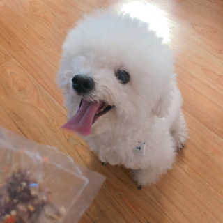 김지윤님이 올린 리뷰 사진 2