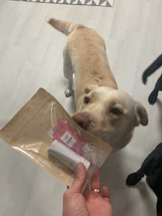 이지닝님이 올린 리뷰 사진 3