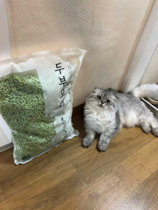 옹란님이 올린 리뷰 사진 2