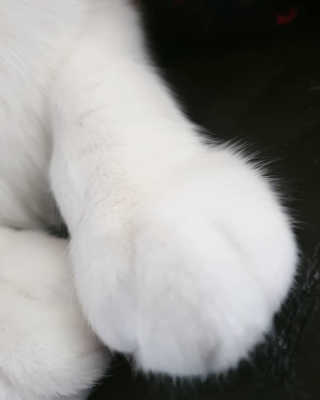 rang.yeoni님이 올린 리뷰 사진 3