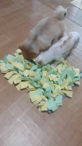 k.h.j님이 올린 리뷰 사진 3