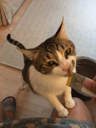 튼튼맘님이 올린 리뷰 사진 2