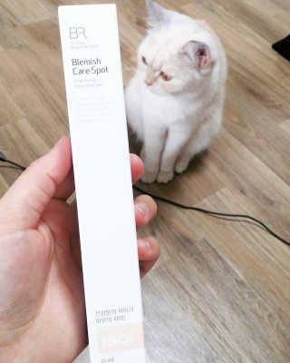 정솔님이 올린 리뷰 사진 1