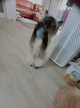 김아빈님이 올린 리뷰 사진 2