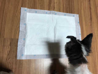 윰님이 올린 리뷰 사진 2