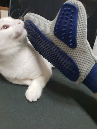 옹님이 올린 리뷰 사진 3