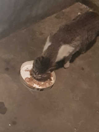 유민선님이 올린 리뷰 사진 2
