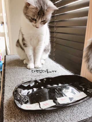 0123eunhye님이 올린 리뷰 사진 1