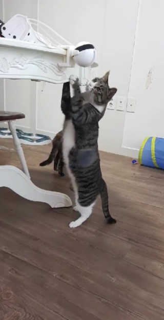 피안화님이 올린 리뷰 사진 2