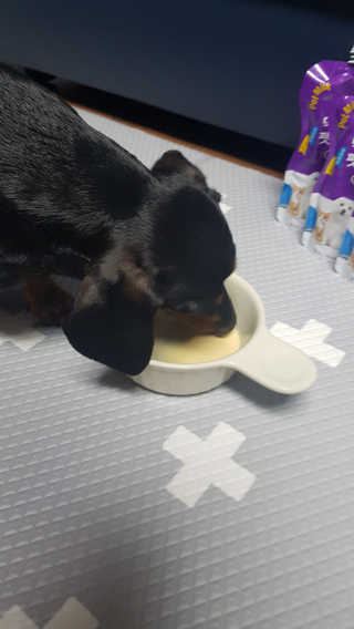 전서윤님이 올린 리뷰 사진 3