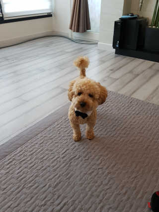 큐티윤님이 올린 리뷰 사진 1