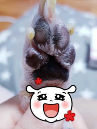 킴쏘임니다님이 올린 리뷰 사진 1