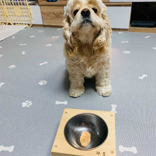 뽀니님이 올린 리뷰 사진 3
