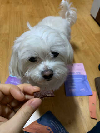 푸디웜 주식회사 [푸디웜] 강아지 저알러지 수제간식 3종세트 — 4.5점을 준 리뷰어가 2019년 2월 올린 사용 사진