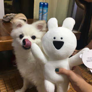 김은영님이 올린 리뷰 사진 4
