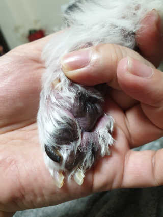몽몽실님이 올린 리뷰 사진 3