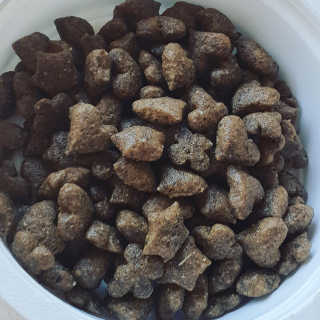 그린펫푸드 인섹트캣 글루텐프리（1.2KG） — 5점을 준 리뷰어가 2019년 9월 올린 사용 사진