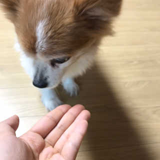 빵이님이 올린 리뷰 사진 3