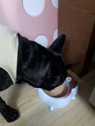 토르맘님이 올린 리뷰 사진 2