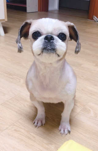세영마마님이 올린 리뷰 사진 1
