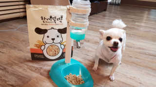 [펫토리아] 맛도 영양도 BEST 한끼뚝딱 강아지 사료 — 4점을 준 리뷰어가 2018년 12월 올린 사용 사진