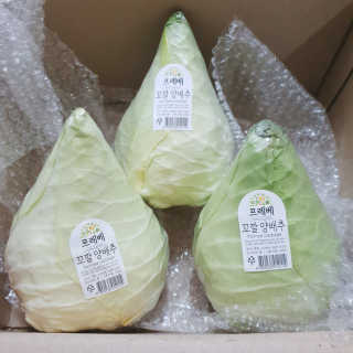 [프레베] 꼬깔양배추 3통 1.8kg 이상 — 5점을 준 리뷰어가 2018년 12월 올린 사용 사진