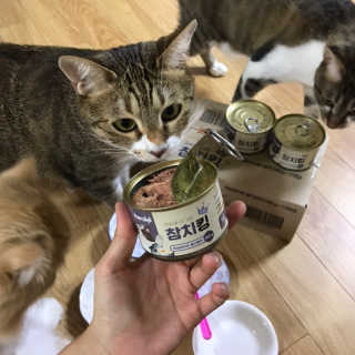 지꾸님이 올린 리뷰 사진 2