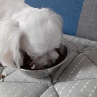꿍님이 올린 리뷰 사진 4