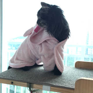 손인수님이 올린 리뷰 사진 2