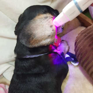 라미라미님이 올린 리뷰 사진 1