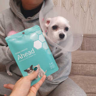 미민님이 올린 리뷰 사진 2