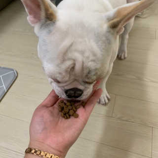 찌나님이 올린 리뷰 사진 2