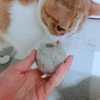 Honeyshop님이 올린 리뷰 사진 4