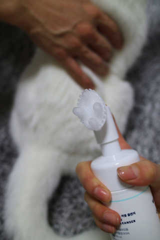 라임님이 올린 리뷰 사진 3