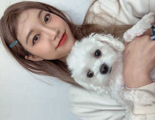 또잉님이 올린 리뷰 사진 1