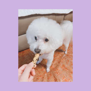 쀼니지브님이 올린 리뷰 사진 2