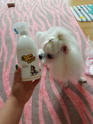 지뿡님이 올린 리뷰 사진 1